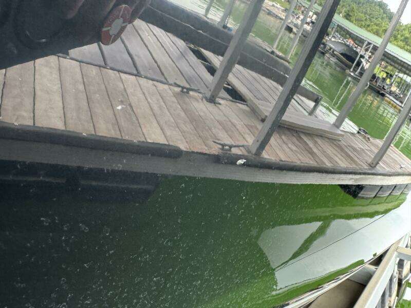 2024 Yamaha Boats 252 SD