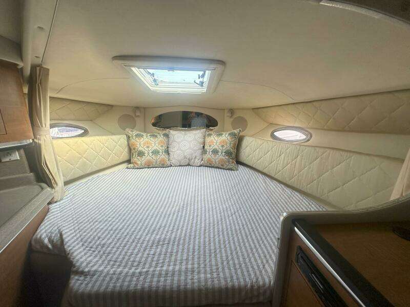 2006 Sea Ray 290 Amberjack