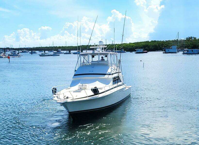 1989 Bertram 50 Convertible