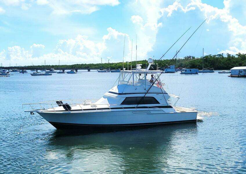1989 Bertram 50 Convertible