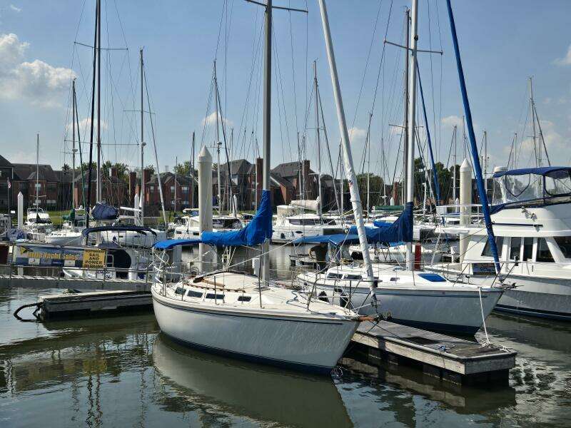 1986 Catalina Tall Rig