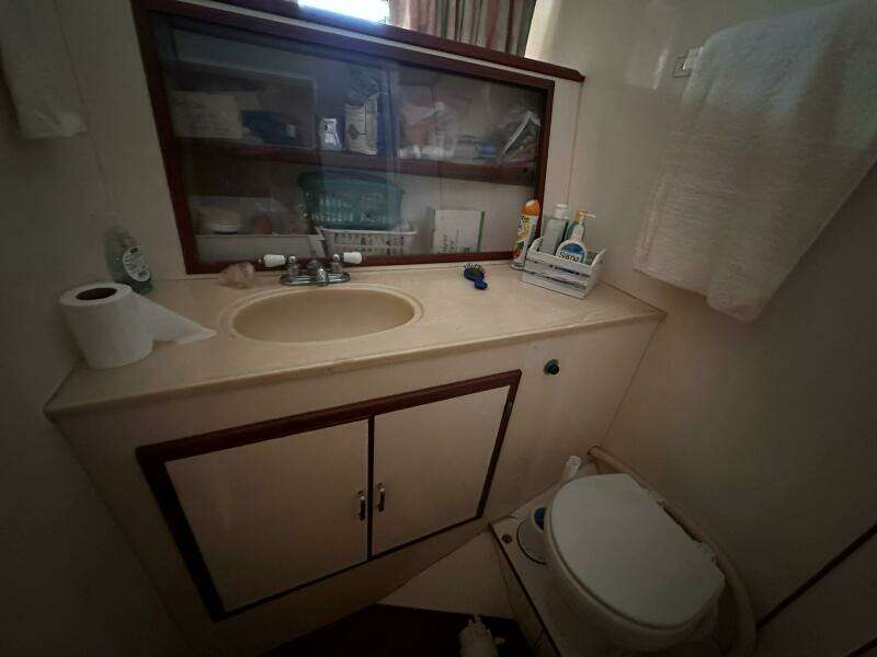 1022 Padraigin Forward Guest Head