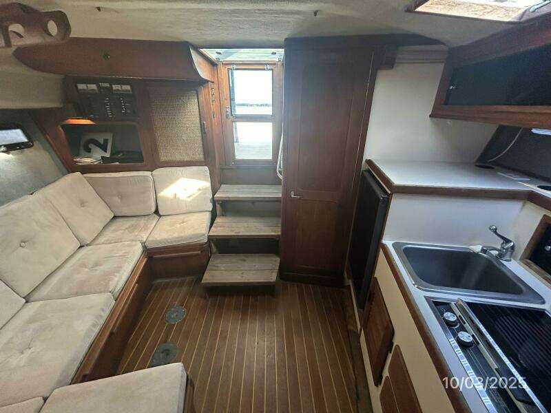 31' Pursuit salon aft