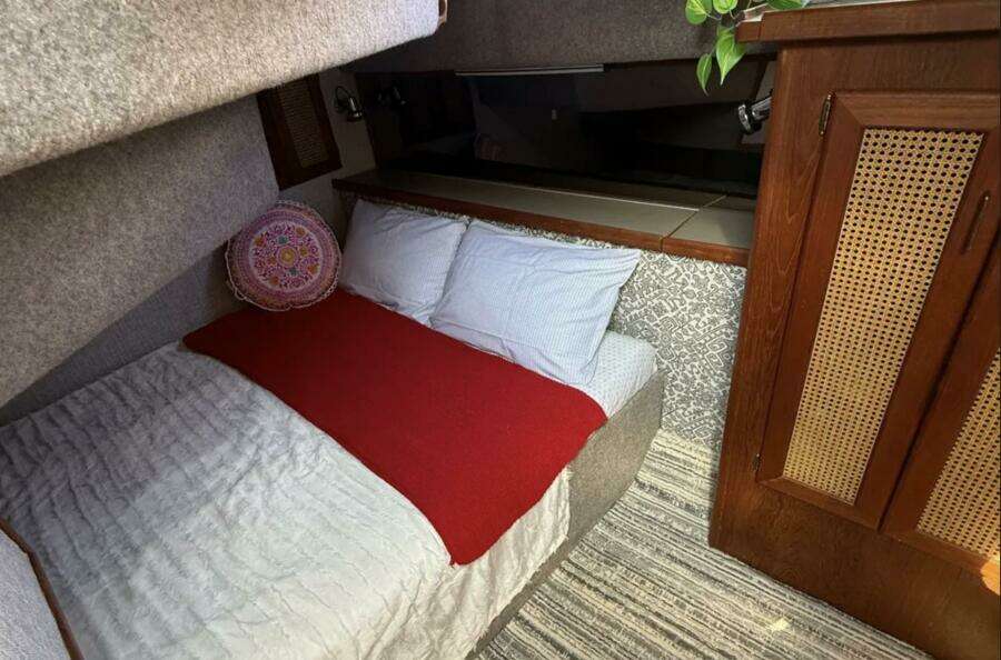 1983 Bayliner 3870 Motoryacht