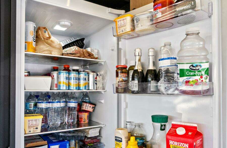 2025 Absolute 52 Fly