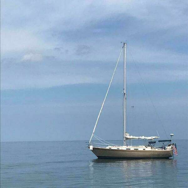 1984 Pearson Pearson 386