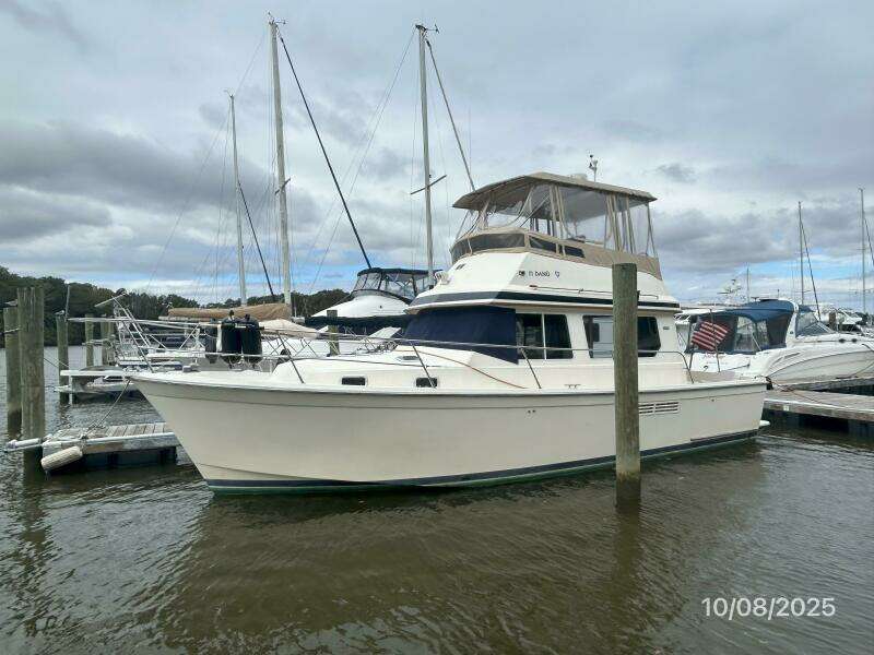 34' Sabreline port forward profile