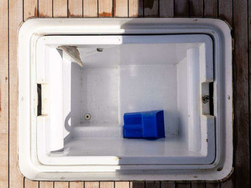 1981 Merritt 55 Convertible