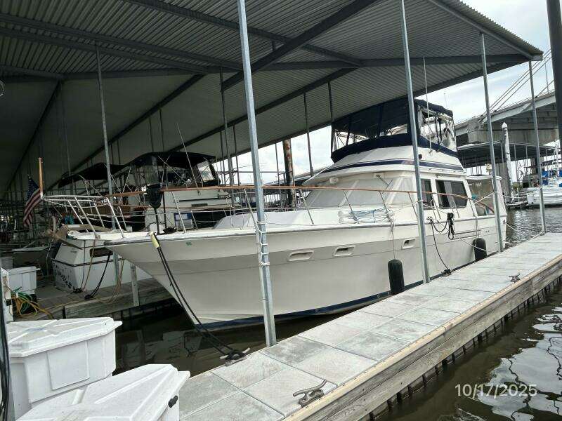 40' Kha Shing port forward profile