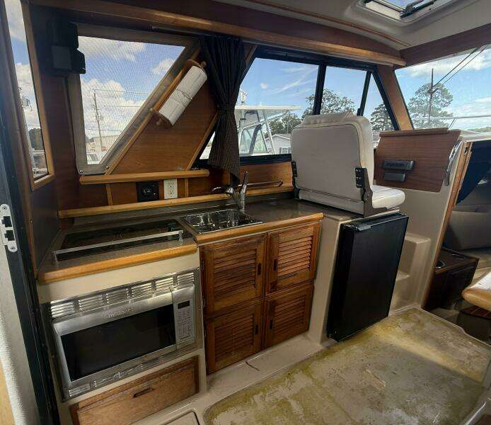 IMG_20251017_154435 (5)