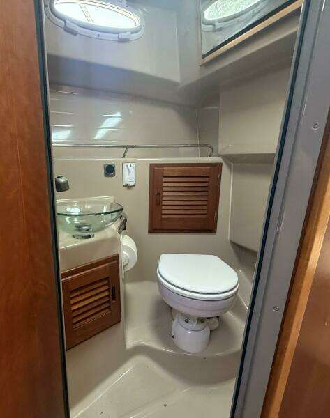 IMG_20251017_154435 (1)