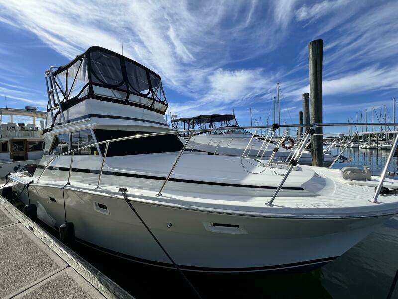 1979 Viking 35 Convertible