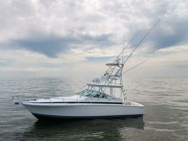 1998 Bertram 36 Moppie