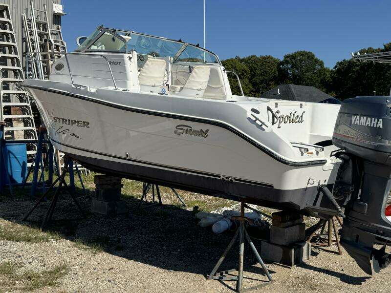 2004 Seaswirl Striper