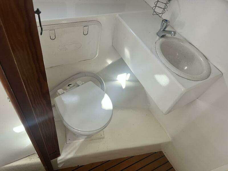 Glenn Young 32 Lafite Skiff