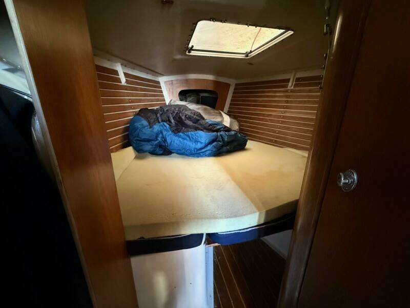 1986 Alsberg Brothers Express 37