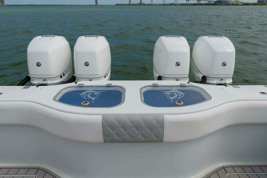 Freeman 42 42LR Double Tap- Engines and Livewells