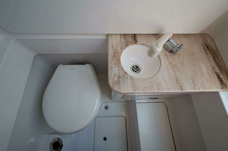 Valhalla 33 - Sea Dawg - Head