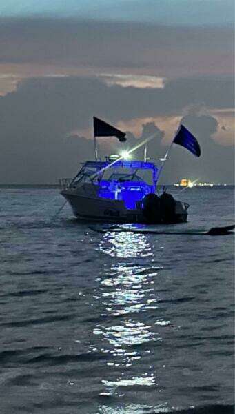 2000 Wellcraft 290 Coastal