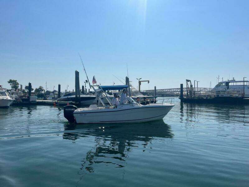 2003 Palm Beach 22DC White Cap