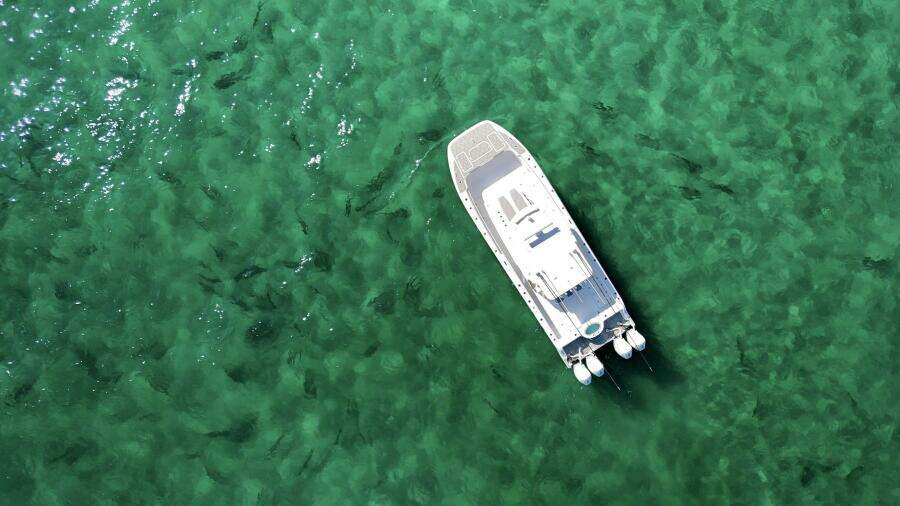 2024 Invincible Catamaran