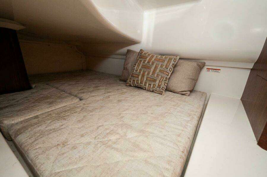 2023 Pursuit DC 365 Dual Console