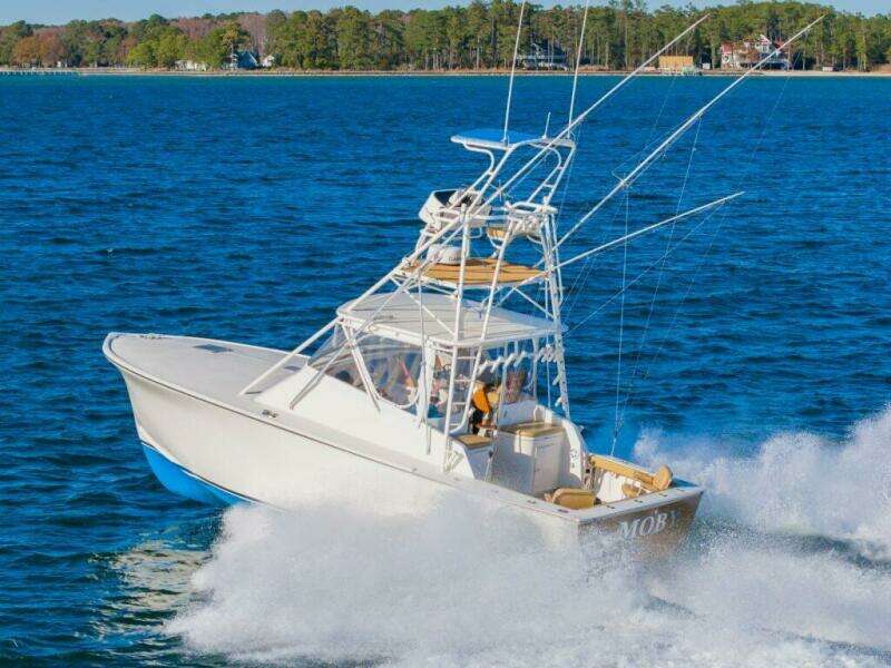 99ee5c7d 1979 446b Afd5 48c56f251cfe