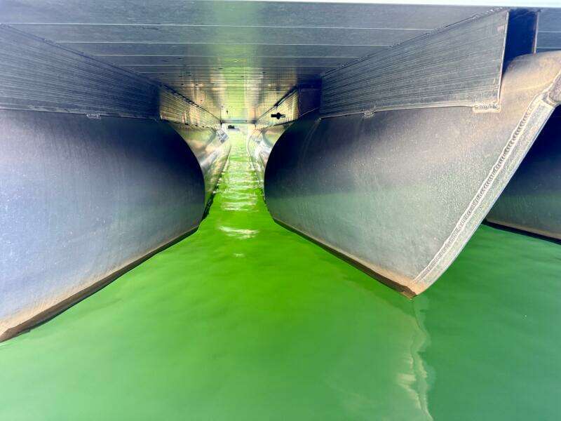 2023 Veranda Vertex VTX 22R TritoonFL