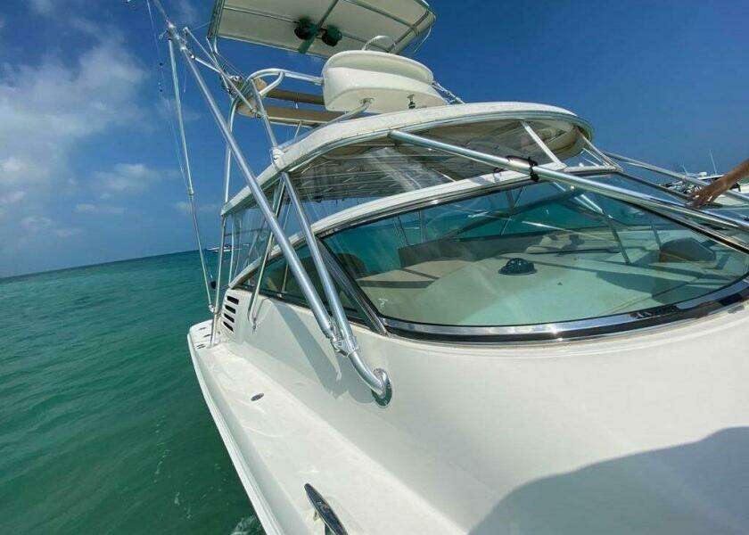 2001 Sea Ray 340 Amberjack