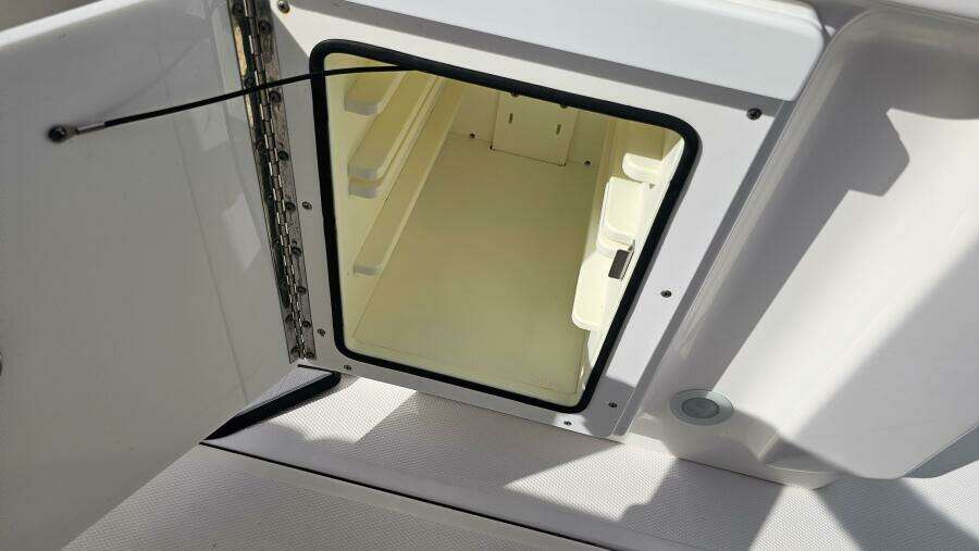 2021 Everglades 273CC