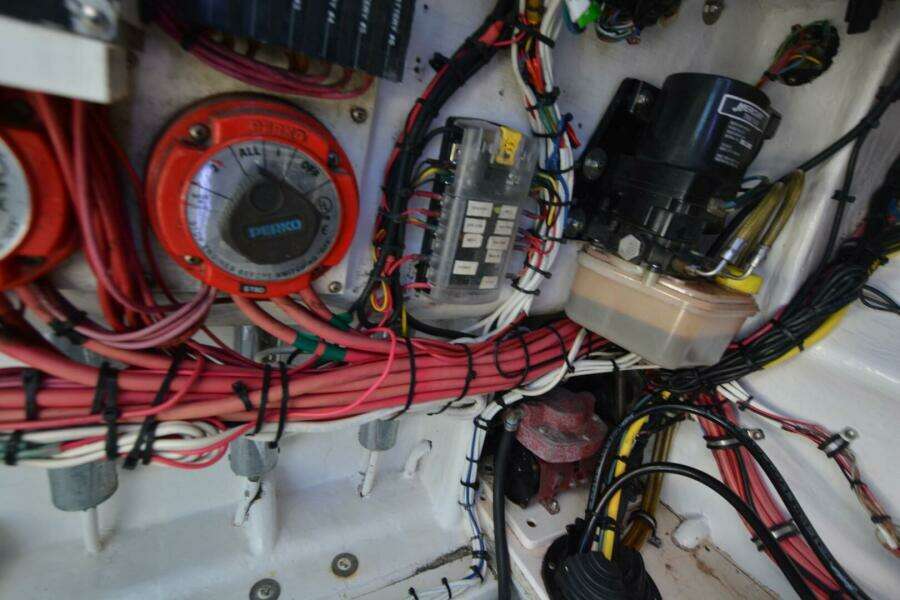 2006 Contender 33 Tournament