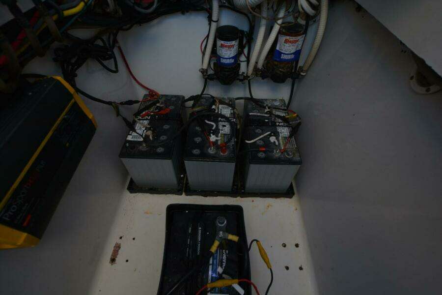 2006 Contender 33 Tournament