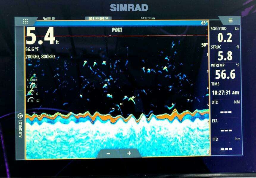 2017 Osprey Pilothouse 30 Fisherman