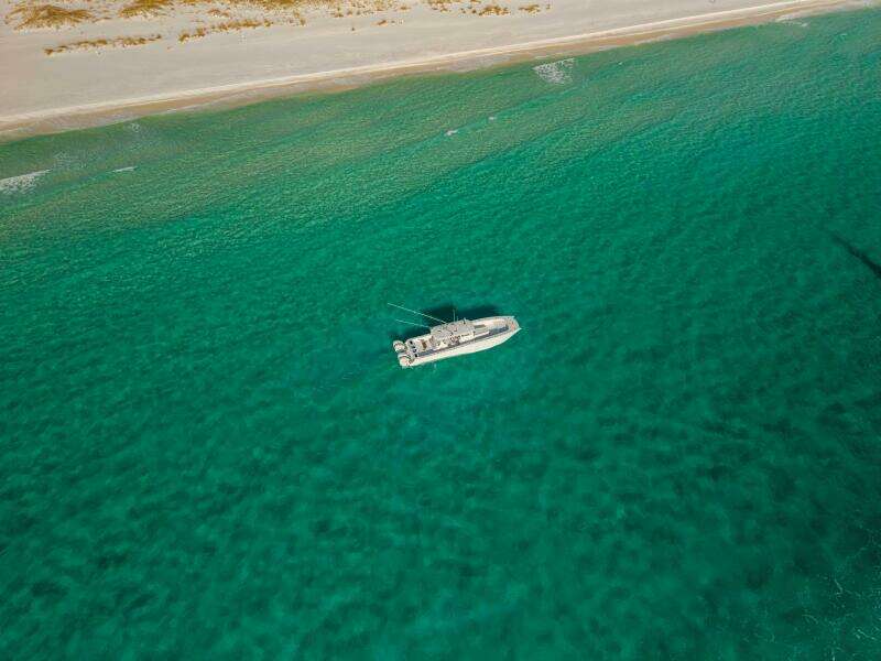 2024 Freeman 45- Just Looking