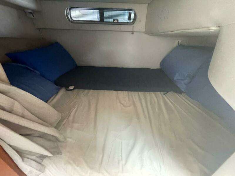 2005 Chaparral 290 Signature