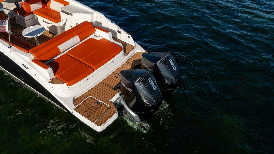 2019 Sea Ray SDX 290 OB