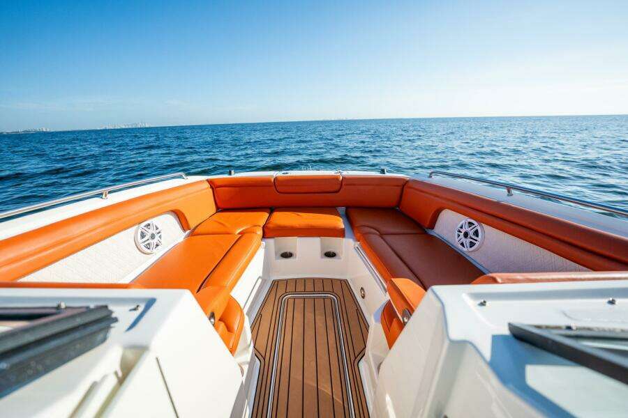 2019 Sea Ray SDX 290 OB