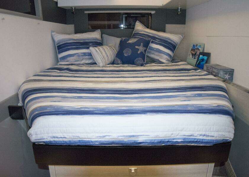 2018 Robertson & Caine Leopard