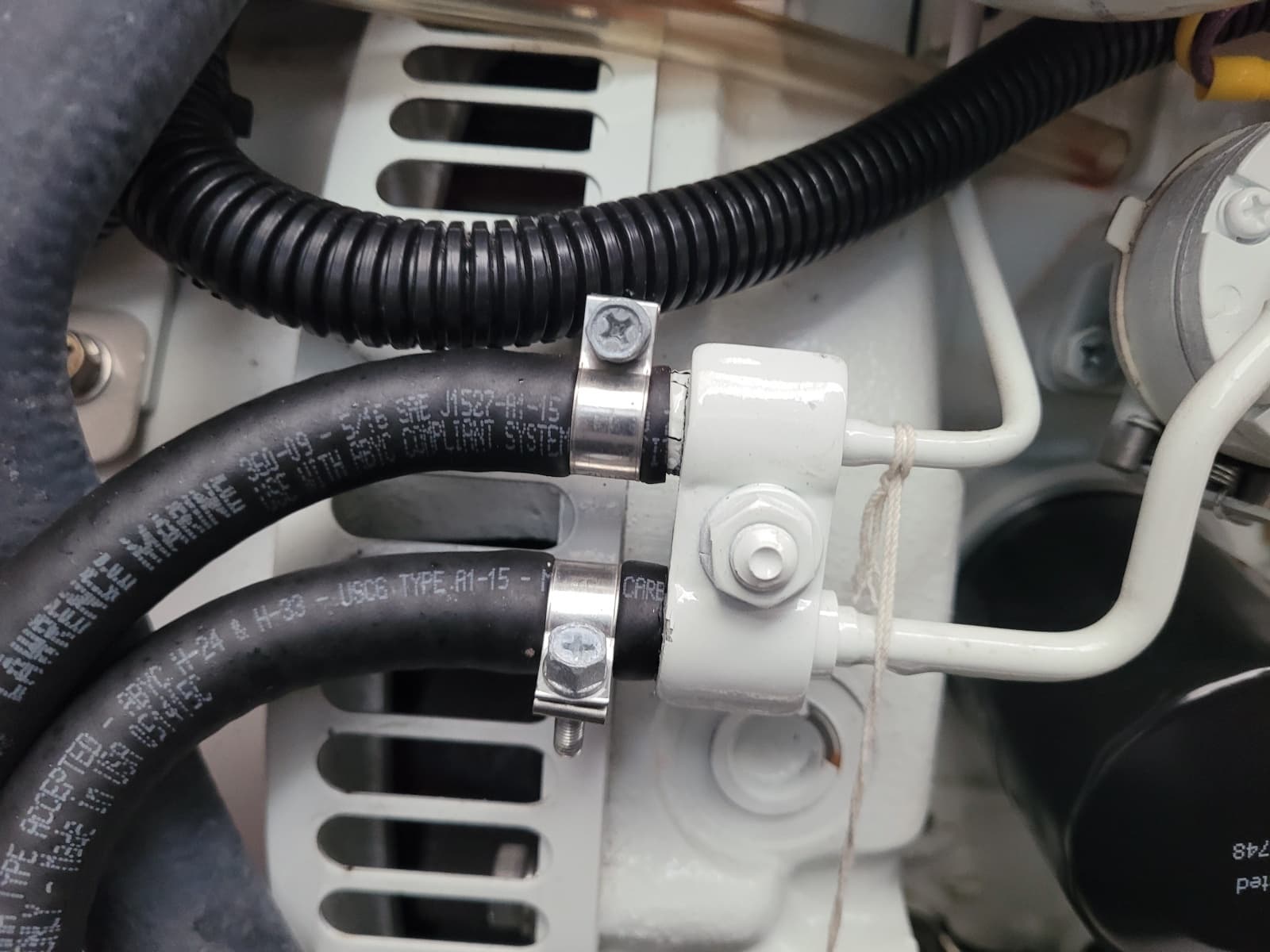 2018 Robertson & Caine Leopard