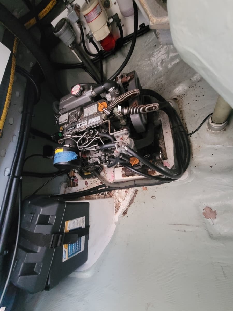 2018 Robertson & Caine Leopard