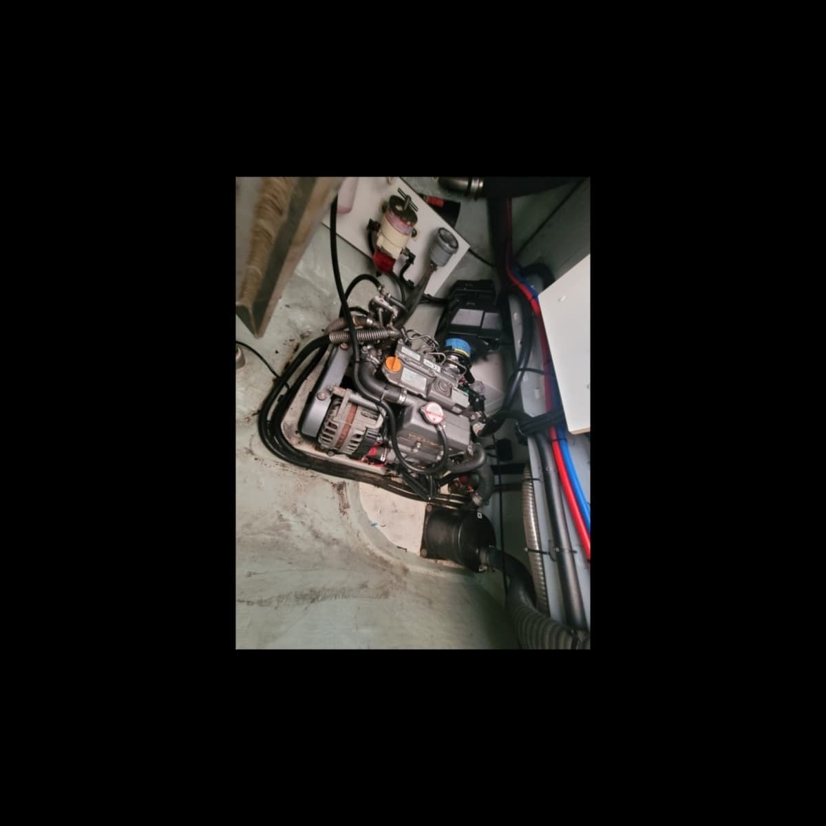 2018 Robertson & Caine Leopard