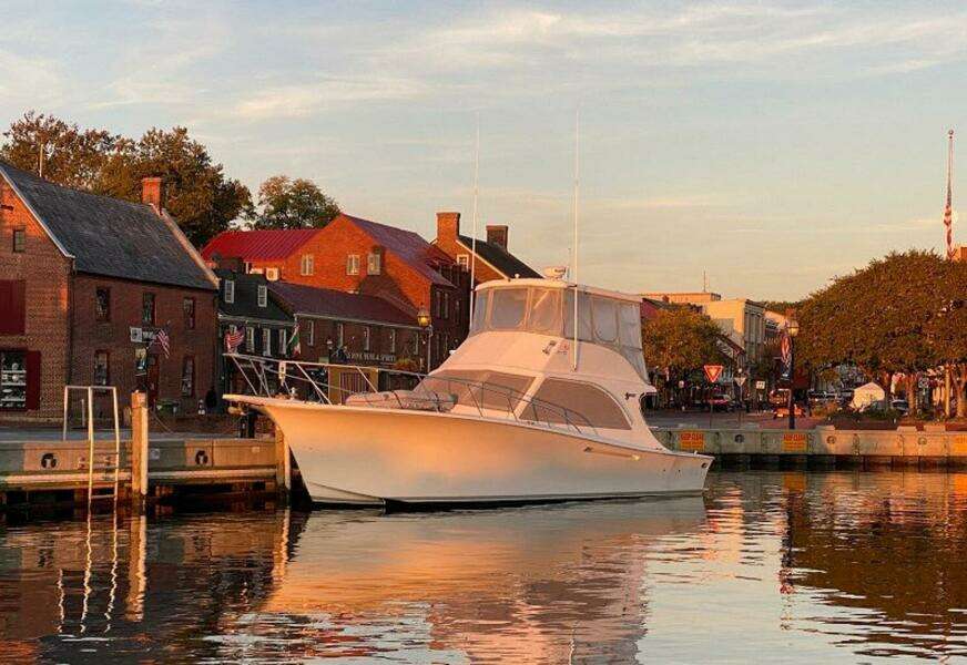 1993 Jersey Dawn III