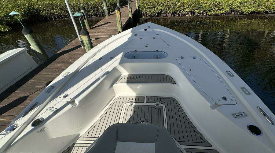 24 SeaPro 2019 Bow Clear