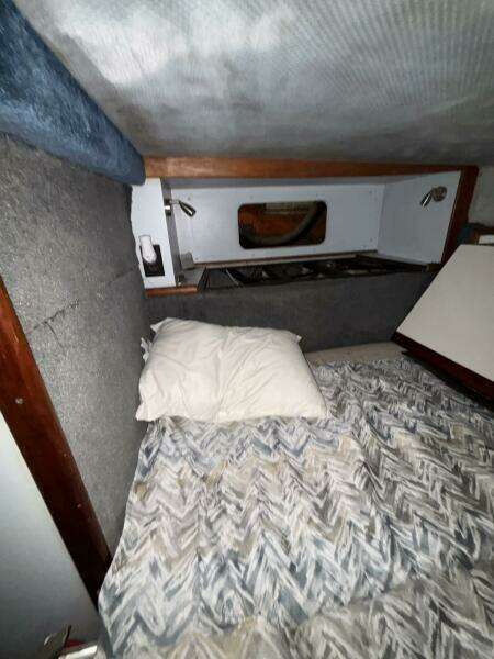 1989 Sea Ray 340 Sundancer