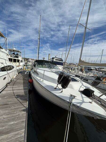 1989 Sea Ray 340 Sundancer