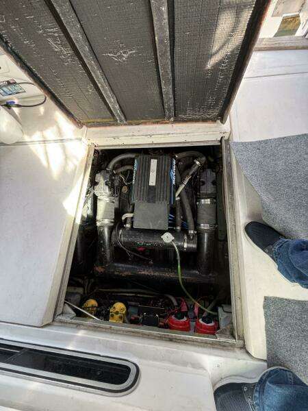 1989 Sea Ray 340 Sundancer