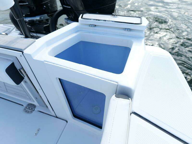 Blackfin 332 CC - Livewell