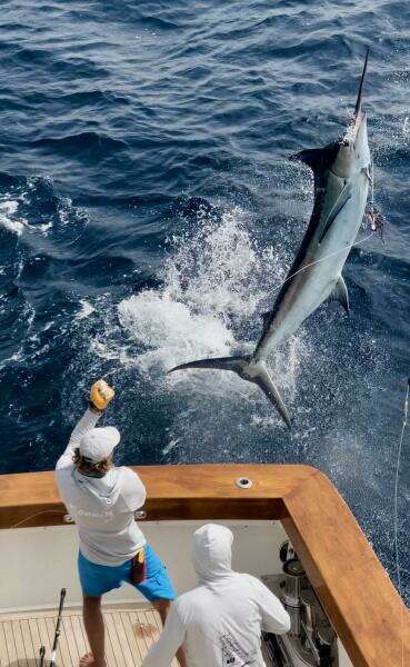 2010 Westport Superyacht