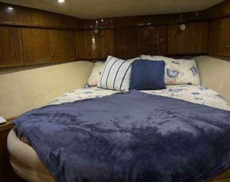 2003 Navigator Californian Veneti