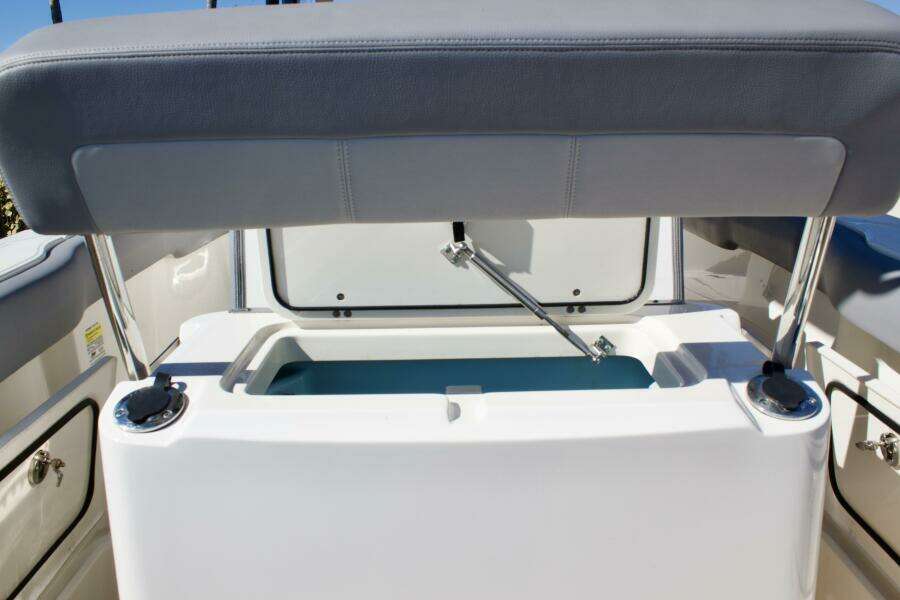 2022 Boston Whaler 230 Outrage